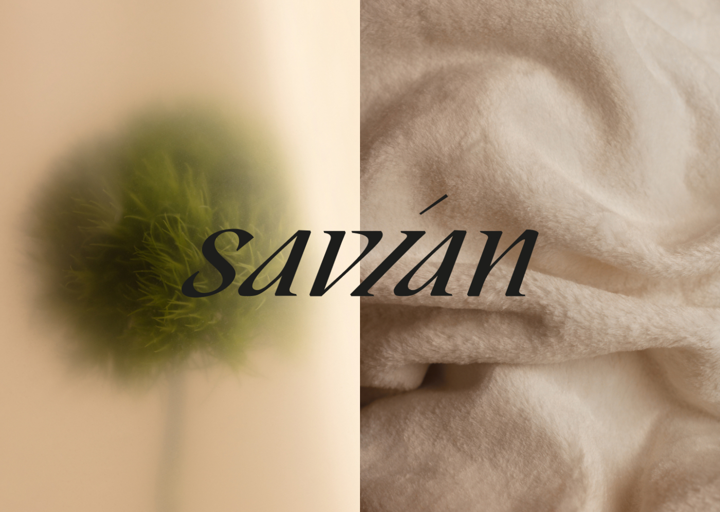 Savian