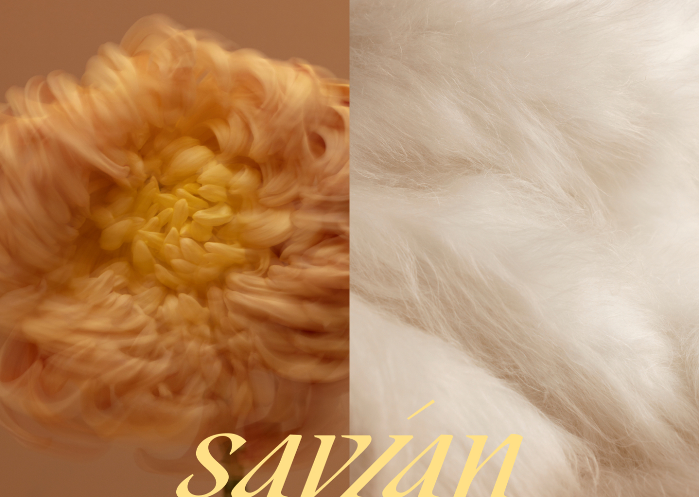Savian
