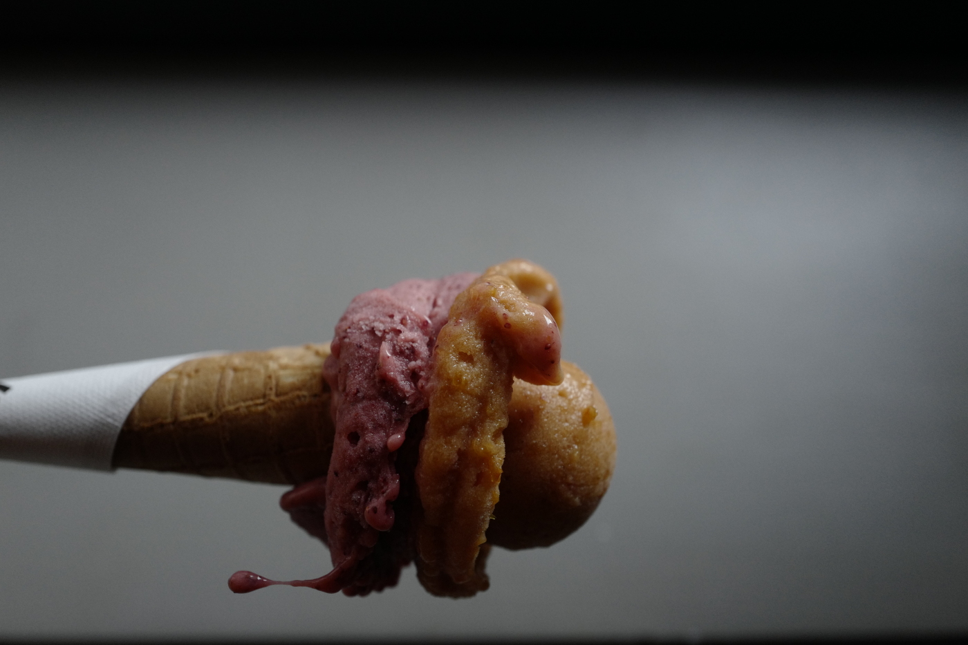 Omnivore